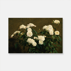 앙리 팡탱 라투르 - 흰 장미 정물화 (1870)