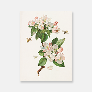 알로이스 런저 - 사과 꽃과 꿀벌