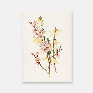 알로이스 런저 - 복숭아 꽃과 개나리
